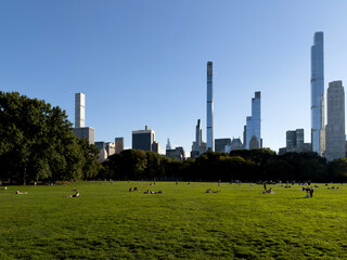 Skyline view from Sheep Meadow in Central Park