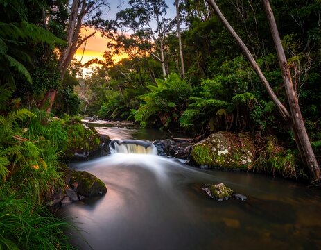Tranquil creek at sunset