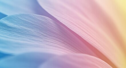 Close-up macro photograph of delicate flower petals with a soft gradient of pastel blue, pink, and yellow hues.