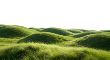 Rolling grassy hills with bright green texture, scenic natural landscape isolated on transparent background