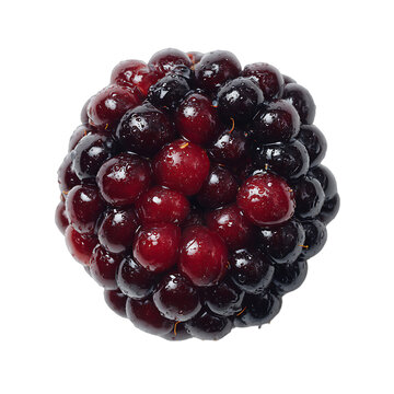 single blackberry png
