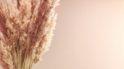 feathery. Bohemian-style pampas grass arrangement in neutral tones with warm sunlight. gardening catalogs, home-decor guides, designed for home decor and floral branding, used by food bloggers.