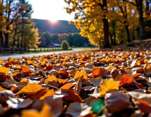 Serene Autumn Scene with Colorful Leaves and Forest