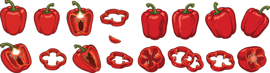 Red Bell Pepper Illustration Set - Whole Half and Sliced Capsicum with Seeds, Fresh Vegetable Collection for Recipe Menu Packaging and Education, Detailed Hand Drawn Style Vector on White