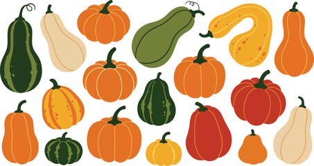 Pumpkins and Gourds Collection - Assorted Squash Shapes in Autumn Colors, Fall Harvest Vegetables for Thanksgiving Halloween Decor Recipe and Market Poster, Modern Flat Vector Set on White