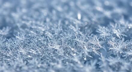 Obraz premium A detailed macro photograph of delicate, star-shaped ice crystals and frost covering a frozen surface.