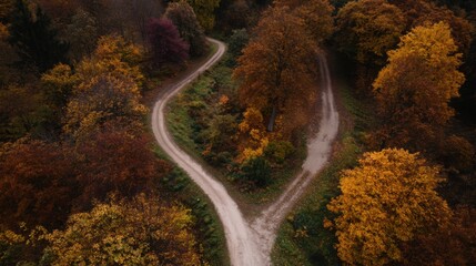 direction. Forked country road through autumn forest during golden hour, symbolizing choices and journeys. representing seasonal cycles and harvest abundance.