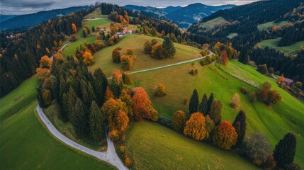 direction. Forked country road through autumn forest during golden hour, symbolizing choices and journeys. representing seasonal cycles and harvest abundance.