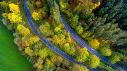 direction. Forked country road through autumn forest during golden hour, symbolizing choices and journeys. representing seasonal cycles and harvest abundance.