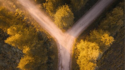 direction. Forked country road through autumn forest during golden hour, symbolizing choices and journeys. representing seasonal cycles and harvest abundance.