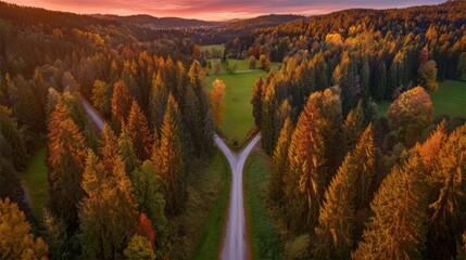 direction. Forked country road through autumn forest during golden hour, symbolizing choices and journeys. representing seasonal cycles and harvest abundance.