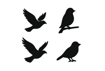 silhouettes of birds
