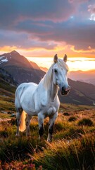 Obraz premium Majestic white horse at sunset over mountains