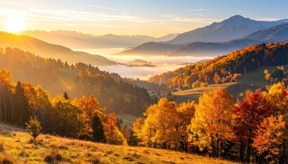 Majestic Autumnal Landscape with Golden Sunlight Filtering Through Rolling Hills and Foggy Valleys Under Clear Blue Sky at Day Time Scenery