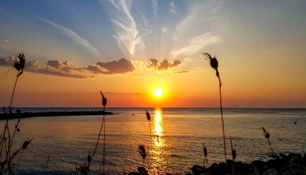 Vibrant sunset over calm sea, silhouetted grasses in foreground