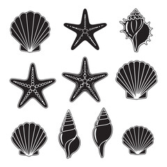 Set of different black sea shells and starfish  silhouette vector illustration