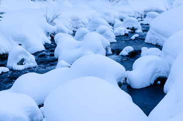 forest stream in winter forest