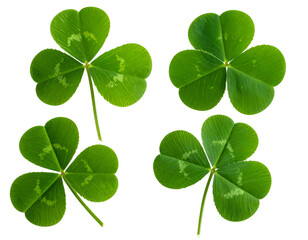 Collection of four vibrant green clovers symbolizing luck and prosperity, isolated on transparent background, PNG
