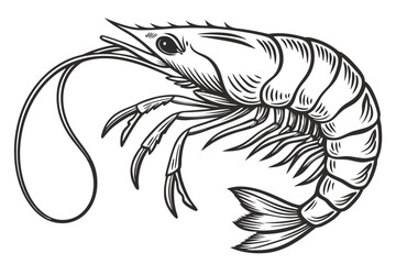 vector illustration of a fish