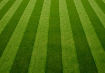 Lush green natural grass field with alternating dark and light stripes from professional mowing