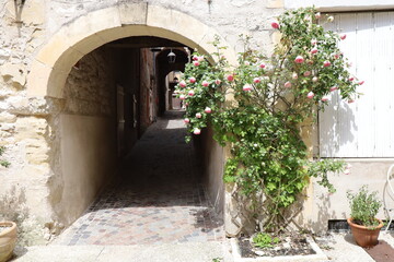 Rue bordée de maisons typiques dans le village, village de Monflanquin, département du Lot et Garonne, France