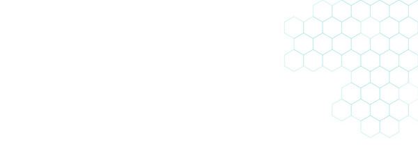 Hexagon Frame Digital Network
