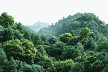 Lush green tree stands tall in a grassy field with other trees in the background during a bright day, creating a natural scene