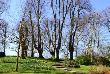 Obraz premium Historical Castle and Park in the Town Jever, Lower Saxony