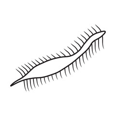 Dileptus Protozoa Line icon