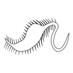 Dileptus Protozoa Line icon