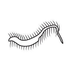 Dileptus Protozoa Line icon