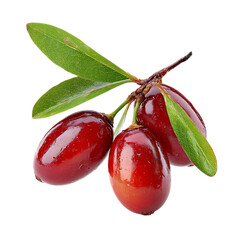 Cornelian cherry