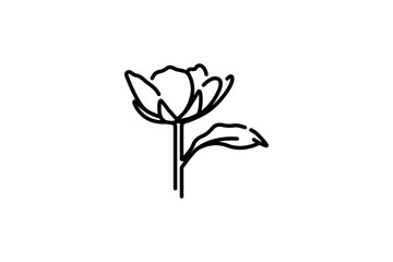 abstract flowers on a branch with leaf handmade line icon template design. Engraved bloom, botanical element, vector illustration. Decoration for invitation, greeting 