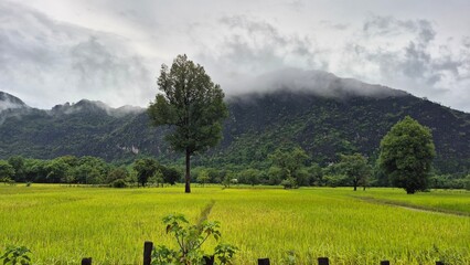 landscape in the mountains