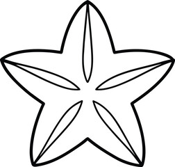 Simple Outline of a Star Fruit Slice with Five Lobes and Inner Lines