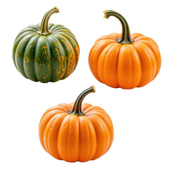 Colorful Variety of Pumpkins for Autumn Harvest Decorations