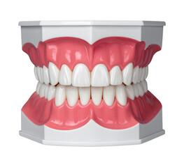 Obraz premium teeth and palate dental isolated object