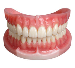 Fototapeta premium teeth and palate dental isolated object