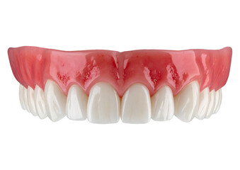 Obraz premium teeth and palate dental isolated object