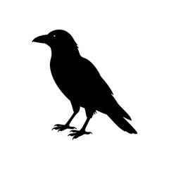 Obraz premium raven icon black silhouette vector illustration on transparent background