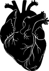 Vibrant anatomical heart illustration symbolizing passion love life and medical science concepts for dynamic design projects