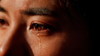 A person's face partially obscured by shadow, with a single tear. Regret, guilt, criminal, consequences, legal.