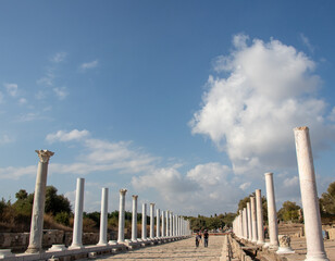 wooden fence on the beach