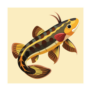 Cartoon loach fish with brown stripes and red gill