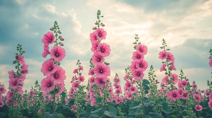 A beautiful floral scene featuring colorful and delicate flowers in a natural setting