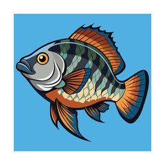 Orange and Blue Fish with Detailed Scales aquatic illustration