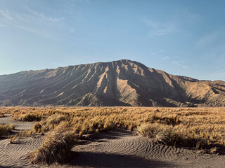 View of beautiful sand valley savannah with hills and mountain at the back. Under a sunny sky. Located at the Mount Bromo caldera with Mount Widodaren at the back. Beauty of nature. Volcano.