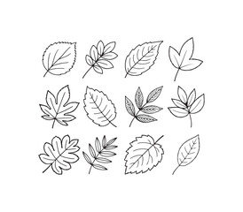 Leaf outline sketch vector illustration set for hand drawn botanical design, eco logo, natural artwork, foliage doodles, garden elements, and simple organic decorative graphics.