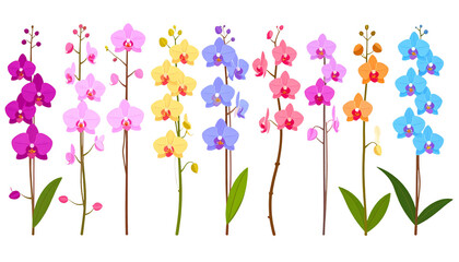 Abstract floral with colorful flowers isolated on white background