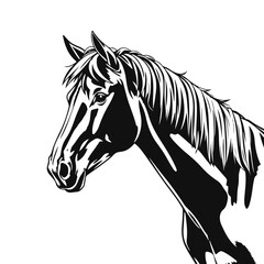 Horse head illustration, animal portrait drawing, farm animal art, wild horse face, horse head sketch